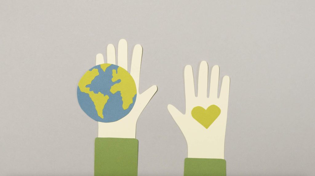 Environmental Factors Pool Covers