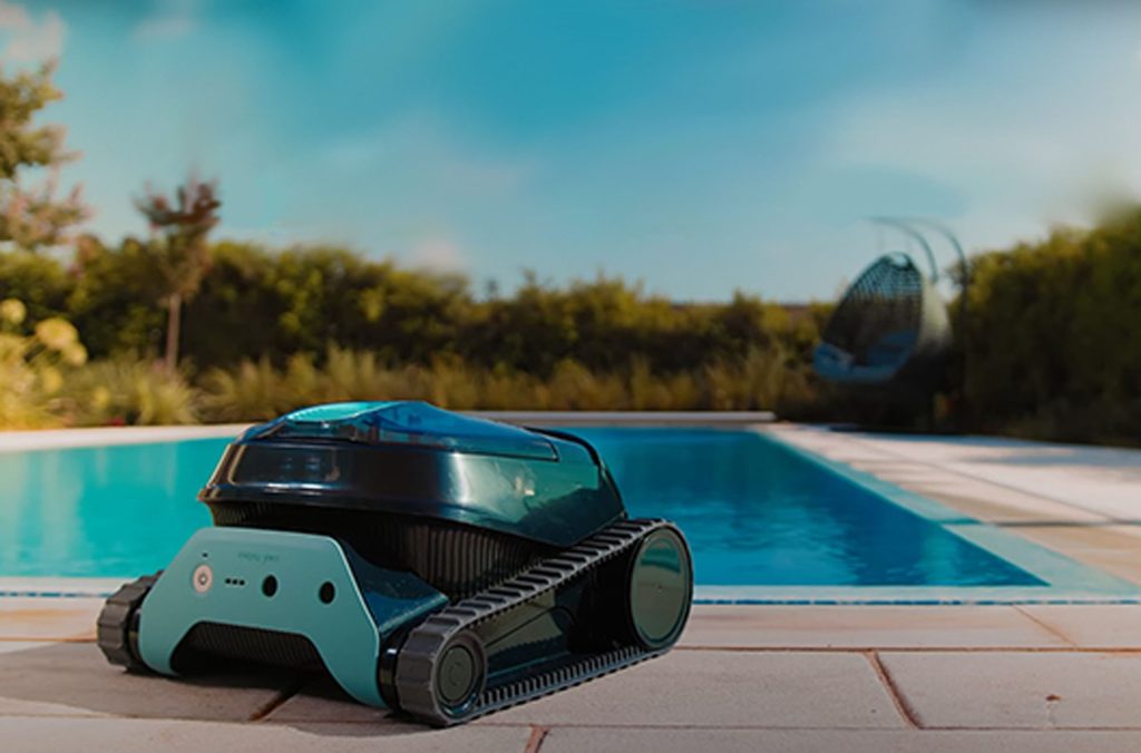 dolphin liberty lifestyle