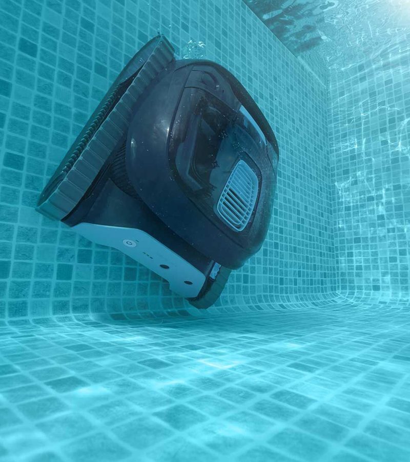 Dolphin Liberty Walls